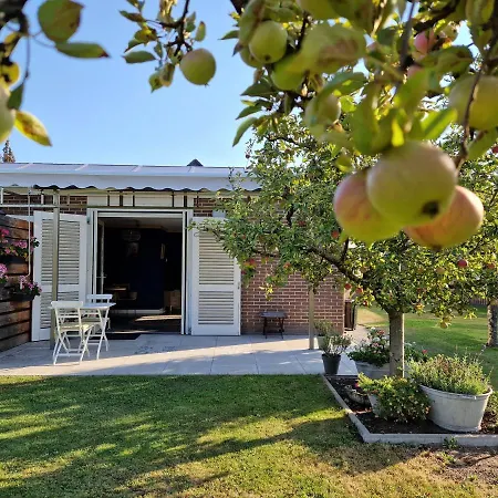 Bed & Breakfast En Glamping De Remise